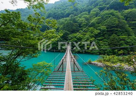 寸又峡 夢の吊橋 42853240