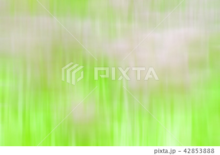 Blurred Floral field background. Blurred Floral field background. 42853888