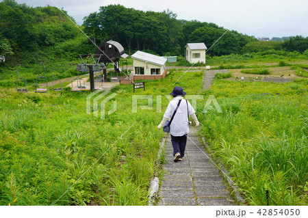 白馬五竜高山植物園(一人旅) 白馬五竜高山植物園(一人旅) 42854050