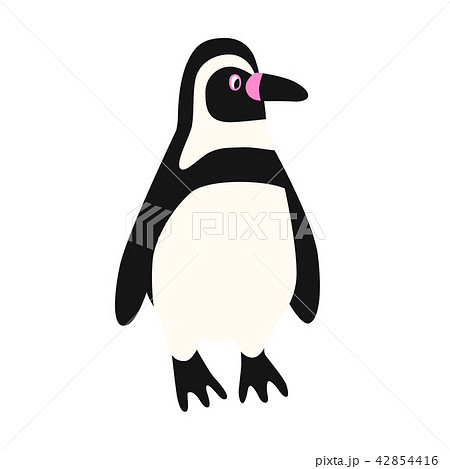 フンボルトペンギンのイラスト素材