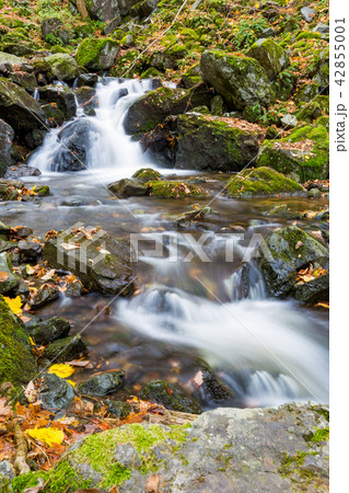 Small blurred waterfall near Sofia, Bulgaria Small blurred waterfall near Sofia, Bulgaria 42855001