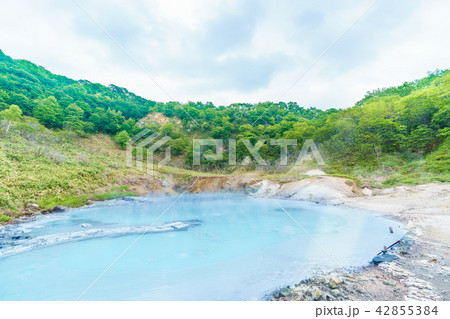 北海道の夏　登別 大湯沼の風景 42855384