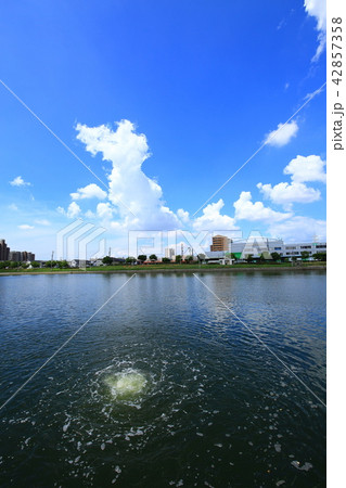 名古屋中川運河水質浄化風景 42857358