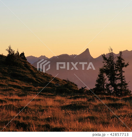 Sunset scene on Mount Niederhorn.  42857713