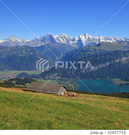 Azure blue Lake Thun, Bernese Oberland.  42857728