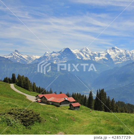 Snow capped mountains Eiger, Monch and Jungfrau. Snow capped mountains Eiger, Monch and Jungfrau. 42857729
