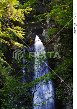 【高知県・珍しい滝】長沢の滝(ハートの滝)全国でも珍しい穴から落ちる滝(潜り滝)その穴がハート型 【高知県・珍しい滝】長沢の滝(ハートの滝)全国でも珍しい穴から落ちる滝(潜り滝)その穴がハート型 42858997