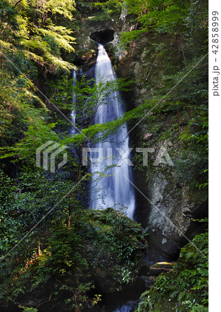 【高知県・珍しい滝】長沢の滝（ハートの滝）全国でも珍しい穴から落ちる滝（潜り滝）その穴がハート型 42858999