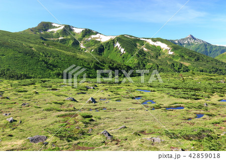 北アルプス　雲ノ平を取り巻く山々三俣蓮華岳と笠ヶ岳遠景　日本最後の秘境を歩く 42859018