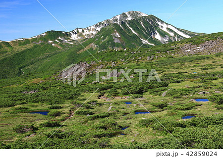 北アルプス 雲ノ平を取り巻く山々黒部五郎岳 日本最後の秘境を歩く 北アルプス 雲ノ平を取り巻く山々黒部五郎岳 日本最後の秘境を歩く 42859024