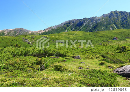 北アルプス　雲ノ平を取り巻く山々水晶岳と赤牛岳遠景　日本最後の秘境を歩く 42859048