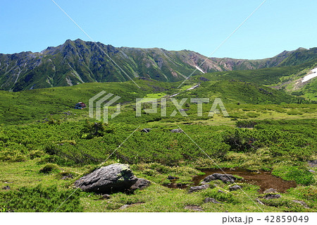 北アルプス　雲ノ平を取り巻く山々水晶岳　日本最後の秘境を歩く 42859049