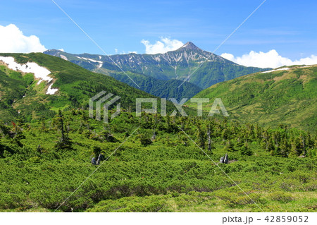 北アルプス　雲ノ平を取り巻く山々　笠ヶ岳遠景　日本最後の秘境を歩く 42859052