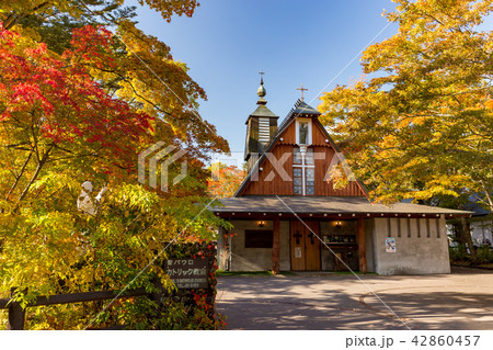 長野・軽井沢の教会・紅葉 42860457