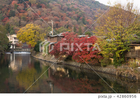 京都の秋　嵐山 42860956