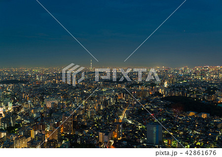 東京風景・東京スカイツリーと大都会東京の街並み 42861676