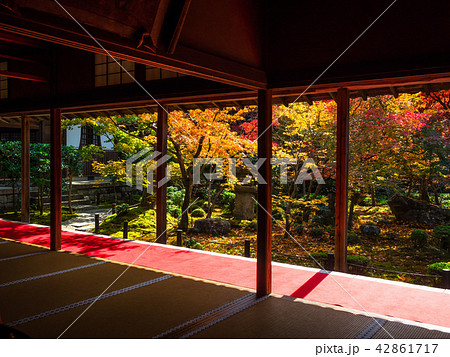 圓光寺の紅葉 圓光寺の紅葉 42861717