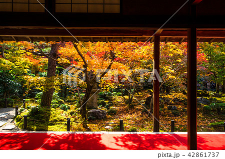 圓光寺の紅葉 圓光寺の紅葉 42861737