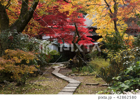 京都 直指庵 京都 直指庵 42862580