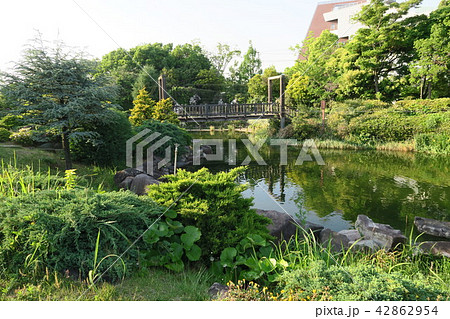 鳴尾浜臨海公園 鳴尾浜臨海公園 42862954