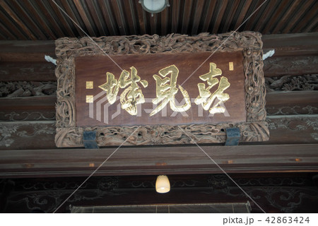 寅さんのふるさと、柴又帝釈天（たいしゃくてん）　近くには矢切の渡しや寅さん記念館がある 42863424