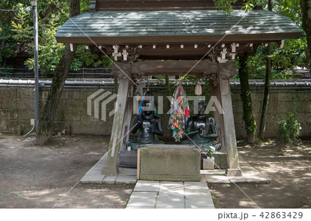 寅さんのふるさと、柴又帝釈天(たいしゃくてん) 近くには矢切の渡しや寅さん記念館がある 寅さんのふるさと、柴又帝釈天(たいしゃくてん) 近くには矢切の渡しや寅さん記念館がある 42863429