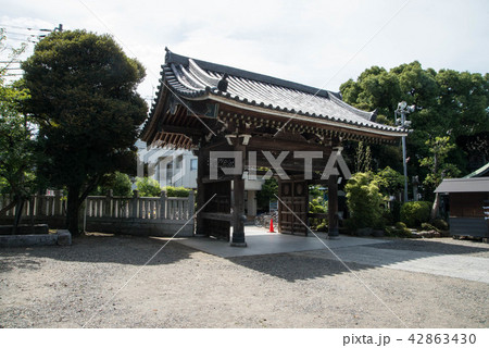 寅さんのふるさと、柴又帝釈天（たいしゃくてん）　近くには矢切の渡しや寅さん記念館がある 42863430