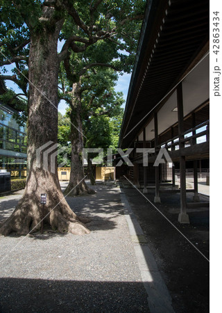 寅さんのふるさと、柴又帝釈天（たいしゃくてん）　近くには矢切の渡しや寅さん記念館がある 42863434