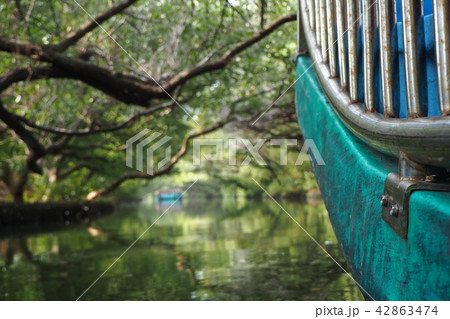 台湾 台南 林 42863474