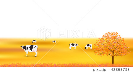 牛 牧場 秋 背景 牛 牧場 秋 背景 42863733