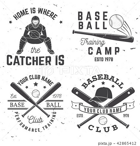 Baseball club badge. Vector illustration. Concept for shirt or logo, print, stamp or tee. 42865412