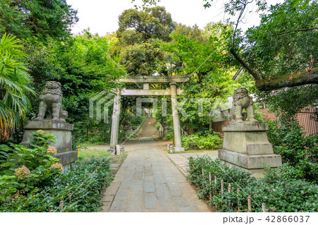 赤坂氷川神社 42866037