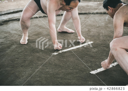 Sumo wrestling Sumo wrestling 42866823