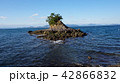 湯の児島　熊本県水俣市 42866832