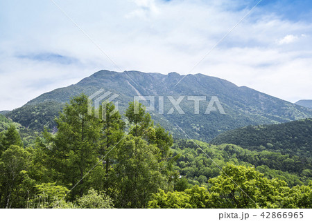 霞みかかる北横岳風景 42866965