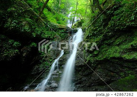 洞門の滝(奈良県吉野郡川上村) 洞門の滝(奈良県吉野郡川上村) 42867262