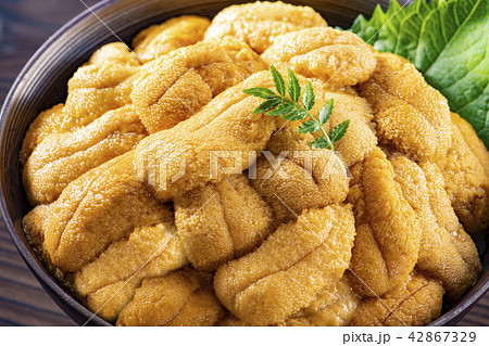 北海道の美味しい雲丹 42867329