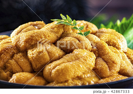 北海道の美味しい雲丹 42867333