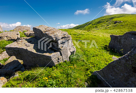 grassy hill side with boulders grassy hill side with boulders 42867538