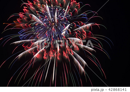 よこすか開国祭花火大会 42868141