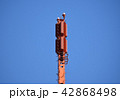 頂点 42868498