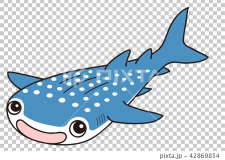 ジンベイザメ ジンベイザメ 42869854
