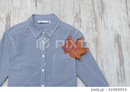 Blue shirt in a cage and maple leaves 42869950