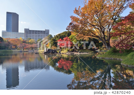 小石川後楽園 小石川後楽園 42870240