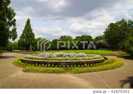 久宝寺緑地公園･北地区･花の広場/大阪府八尾市西久宝寺 42870301