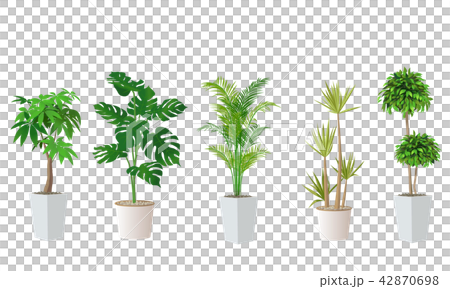 観葉植物セットのイラスト素材