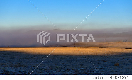 朝霧のかかった高原　アメリカ・カリフォルニア州 42871054