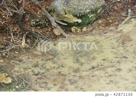 【長崎県】雲仙地獄 【長崎県】雲仙地獄 42871130