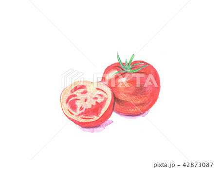 トマト ﾄﾏﾄ とまとのイラスト素材