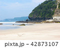 白砂の海岸 42873107
